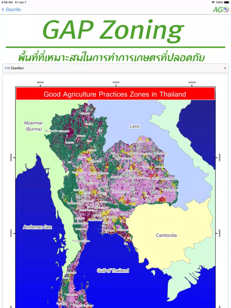 تصاویر GAP & Organic Zoning iPad 