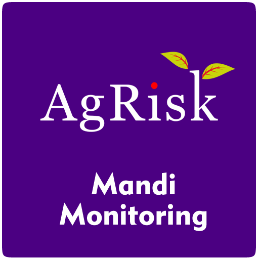 Market Monitoring