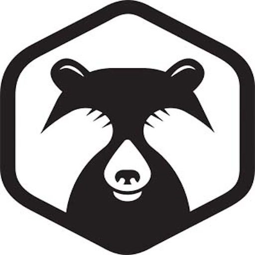 Shy Bear Brewing