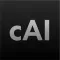 cAI, Private AI (f.k.a AnonAI)