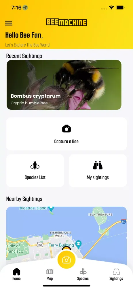 BeeMachine Ekran Görüntüleri