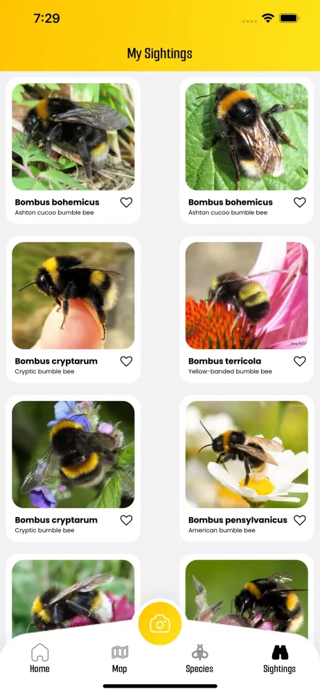 BeeMachine Ekran Görüntüleri