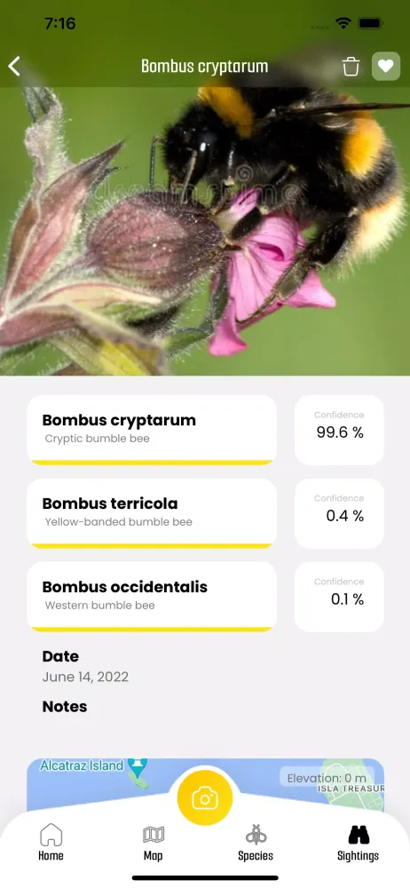 BeeMachine Ekran Görüntüleri