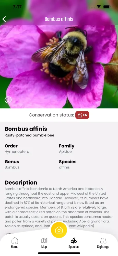 BeeMachine Ekran Görüntüleri