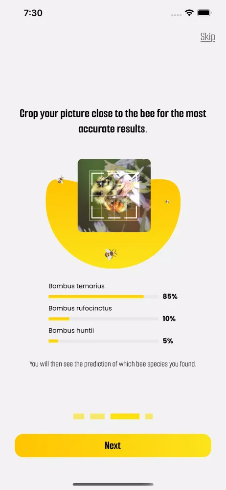 BeeMachine Ekran Görüntüleri