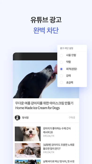 블로켓 - 광고차단 브라우저 Bloket應用截圖