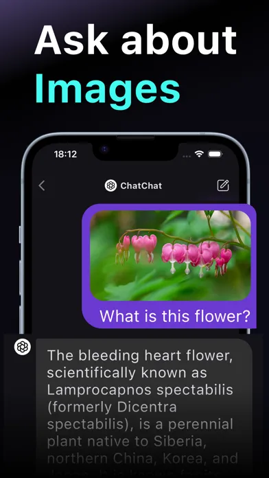 ChatChat - AI Chat Assistant Screenshots