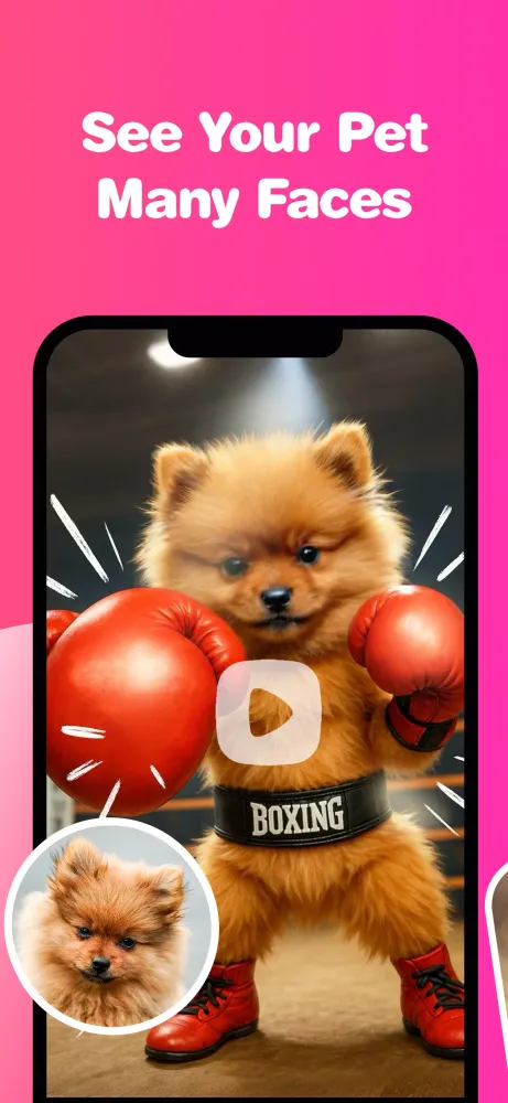 DreamPets スクリーンショット