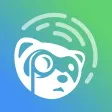 Ferret Ferret