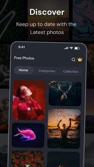 PicPerfect - HD Stock Images应用截图