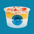 Nautical Bowls AU Nautical Bowls AU