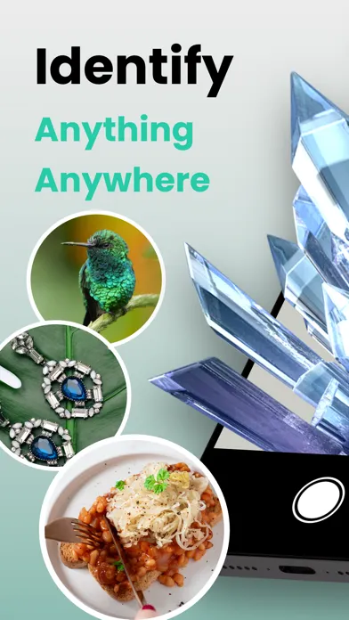 صور Picture & Ask: Pocket Expert