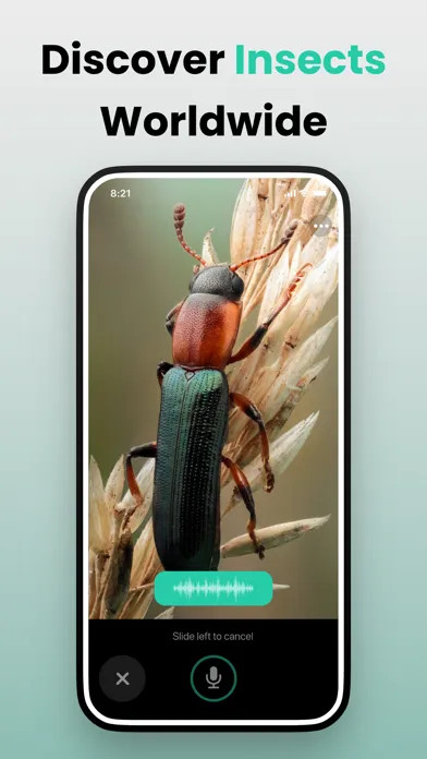 صور Picture & Ask: Pocket Expert