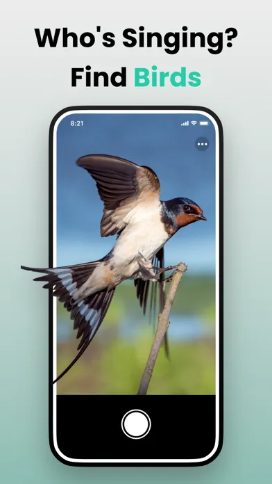صور Picture & Ask: Pocket Expert