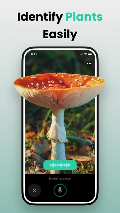 صور Picture & Ask: Pocket Expert