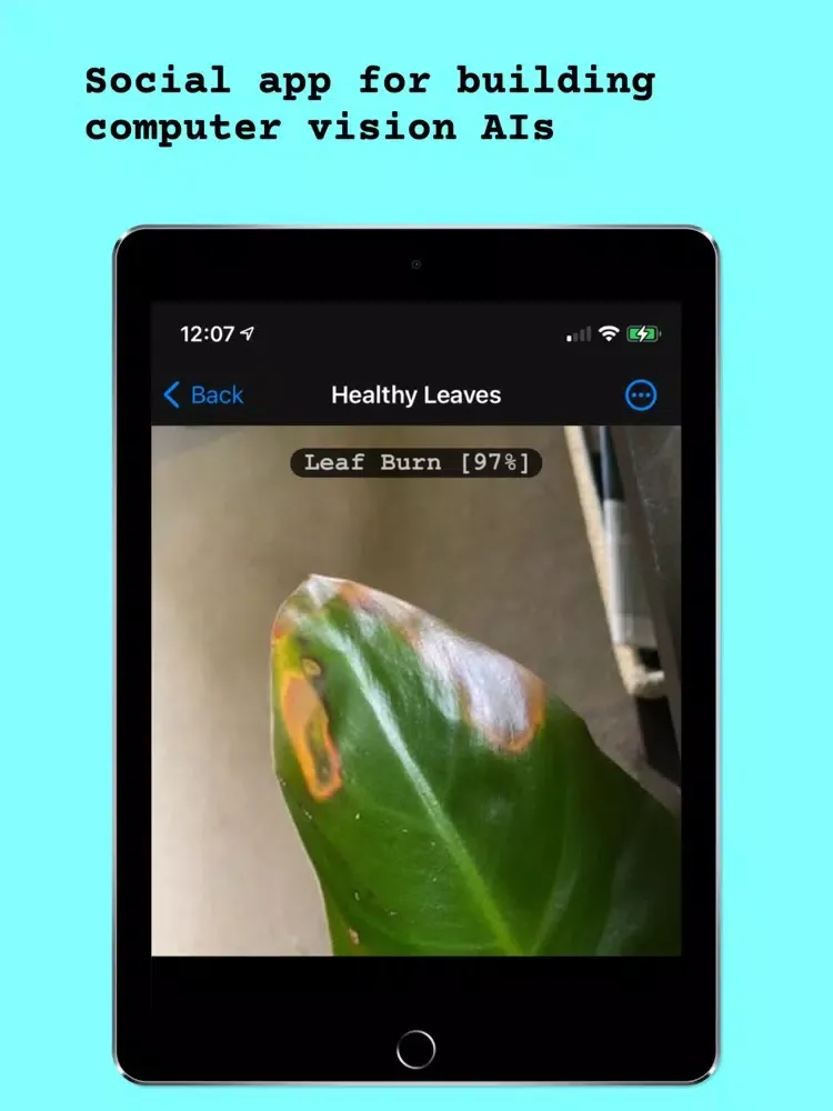 Palapa! iPad  Screenshots