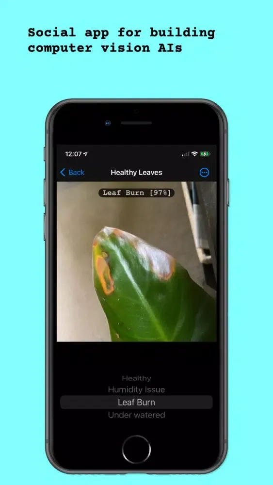 Palapa! Screenshots