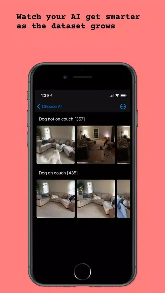 Palapa! Screenshots