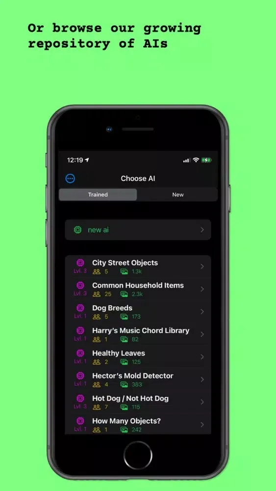 Palapa! Screenshots