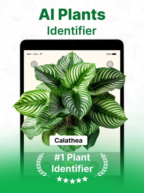 Plant Identifier AI: Tree Id iPad 应用截图