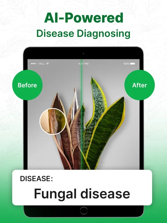 Plant Identifier AI: Tree Id iPad 应用截图