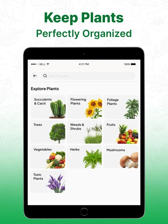 Plant Identifier AI: Tree Id iPad 应用截图