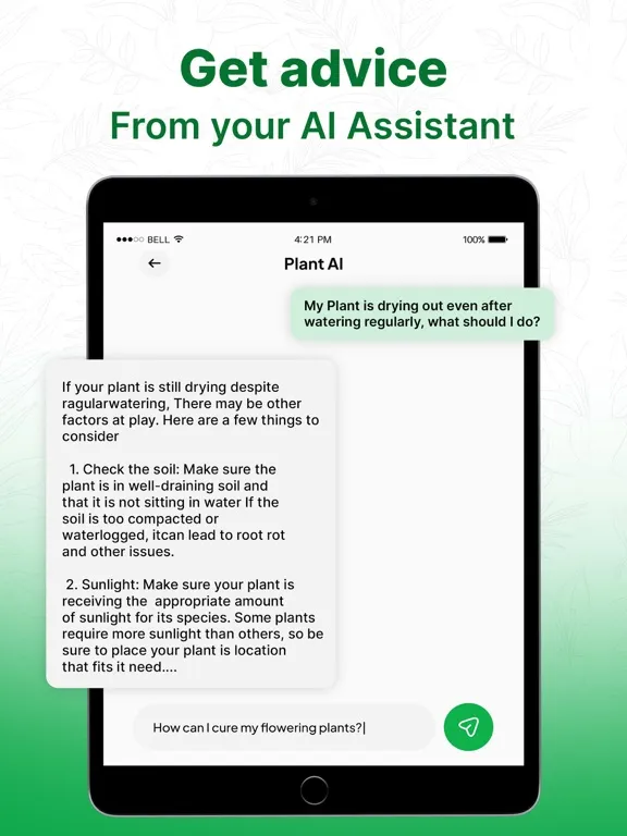 Plant Identifier AI: Tree Id iPad 应用截图