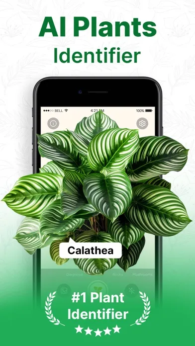 Plant Identifier AI: Tree Id应用截图
