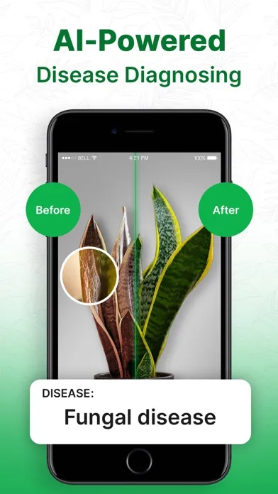 Plant Identifier AI: Tree Id应用截图