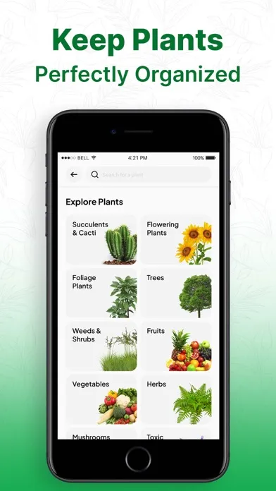 Plant Identifier AI: Tree Id应用截图