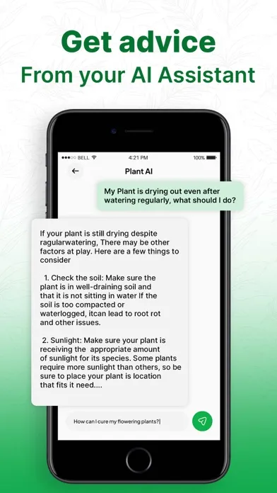 Plant Identifier AI: Tree Id应用截图