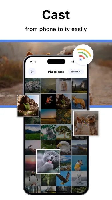 TV Cast | Smart Screen Share Screenshots