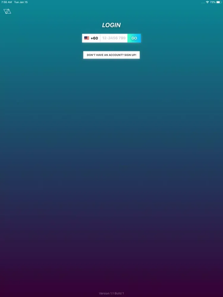 Vase Surveys iPad 应用截图