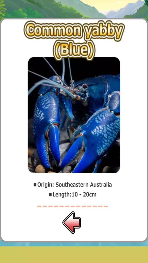 Crayfish fishing Screenshots