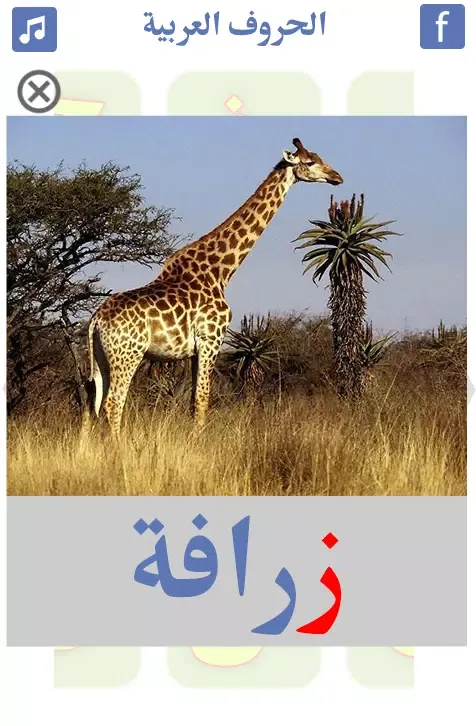 Capturas de tela do Learn Arabic Alphabet