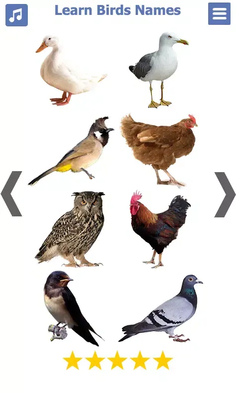 Birds Name: Learn & Listen Screenshots