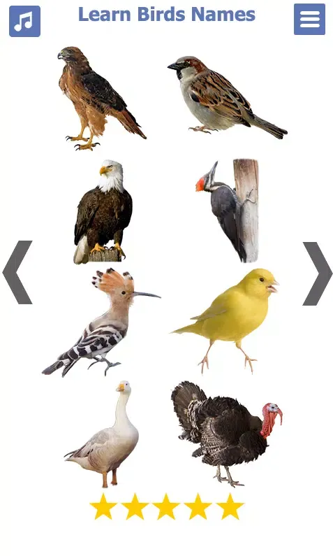 Birds Name: Learn & Listen Screenshots