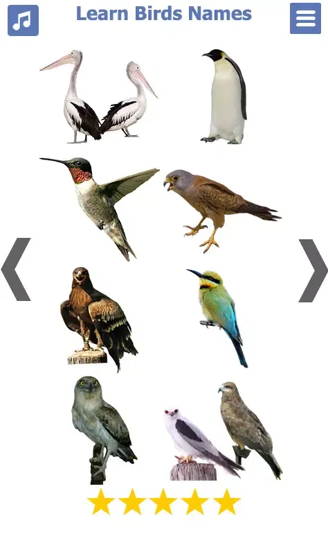 Birds Name: Learn & Listen Screenshots