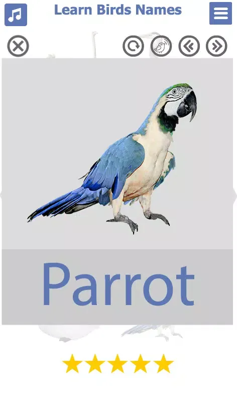 Birds Name: Learn & Listen Screenshots