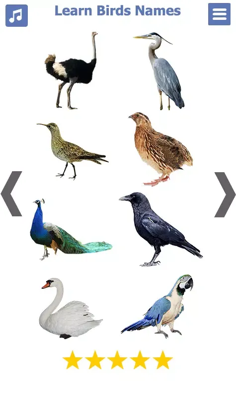 Birds Name: Learn & Listen Screenshots