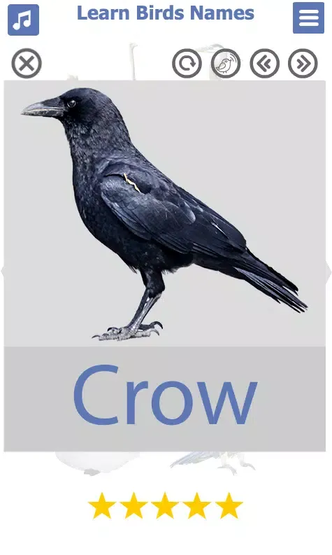 Birds Name: Learn & Listen Screenshots