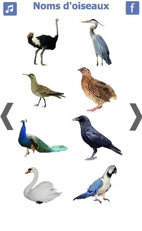 les noms des oiseaux avec phot स्क्रीनशॉट