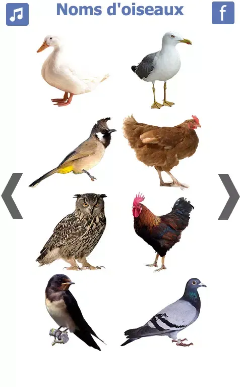 les noms des oiseaux avec phot स्क्रीनशॉट