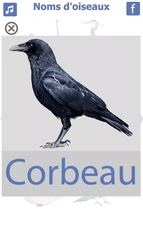 les noms des oiseaux avec phot स्क्रीनशॉट