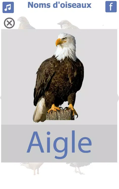 les noms des oiseaux avec phot स्क्रीनशॉट