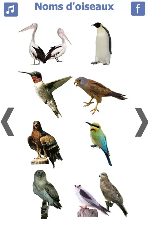 les noms des oiseaux avec phot स्क्रीनशॉट