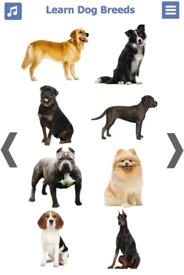 Dog Breeds Screenshots