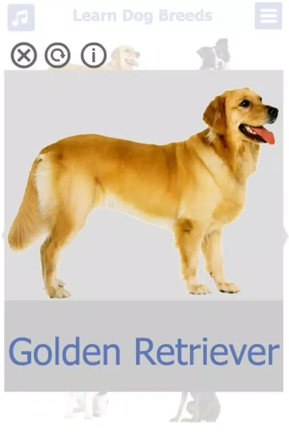 Dog Breeds Screenshots