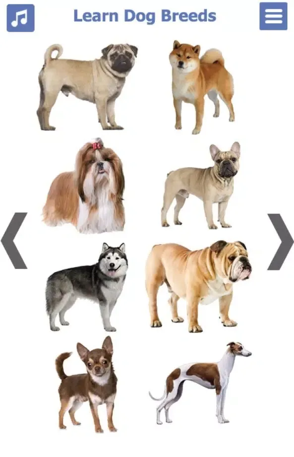 Dog Breeds Screenshots