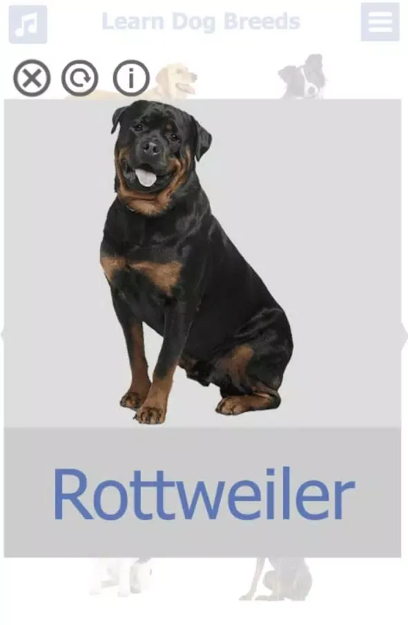 Dog Breeds Screenshots